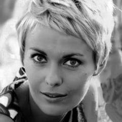 MLM_maven's profile picture. You only deserve the best. Change your life with #directselling. The #MLM life will set you free!