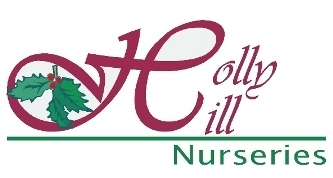Large selection of liner plants. Mail order only. Sign up for daily offers at Plants@HollyHillNurseries.com...