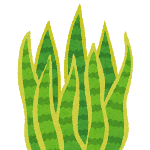 DendrocnideG's profile picture. elsword/PSO2  フォロリク承認はどちらかプレイしている方のみ