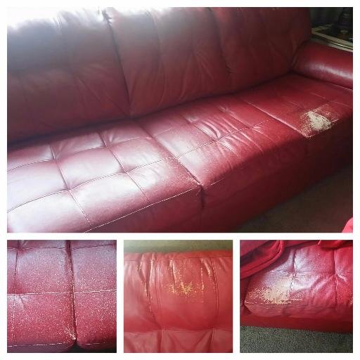 VolunteerVoice's profile picture. 