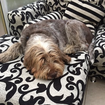 horaces_mum's profile picture. 