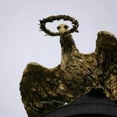 Cova209's profile picture. Упавший духом-гибнет раньше срока...