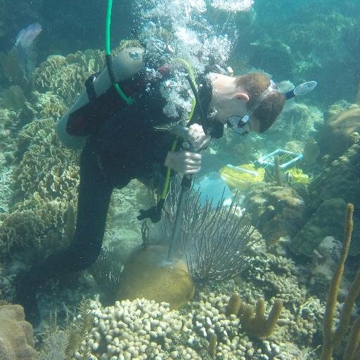 Visiting Asst. Prof @mtholyoke || corals + climate || prev @BowdoinCollege, @underthecblog, @SciREN_triangle, UNC SPIRE || #Scicomm and social justice