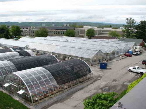 VTGreenhouse's profile picture. With 50,000 sq.ft. of glass and poly greenhouses our mission is to enhance the research and teaching here at Virginia Tech.