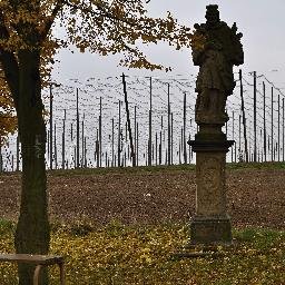 jendaschneider's profile picture. Najde jen ten, kdo ví, co hledá.