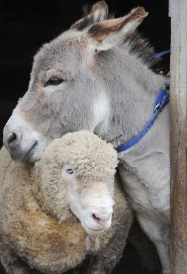 a_yonten's profile picture. 