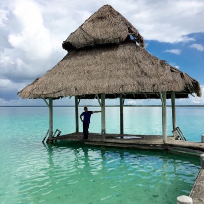 Follt's profile picture. Taxidermista de instantes, chelero, cruzazuliño y Bengalí.