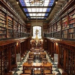 melhorbibliotec's profile picture. A biblioteca é fundamental para o ganho de conhecimento