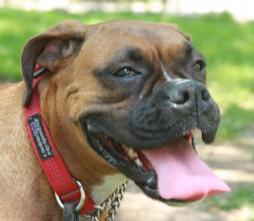 wrogfm's profile picture. Its my station and I can do what I want with it!