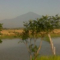 Ryansyah Andri (@ryansyahandri4) 's Twitter Profile