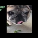 Abby Penn - @abbyjpenn - Twitter