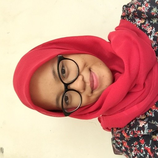 husnahdyt2's profile picture. Information System UI 2013 | #12