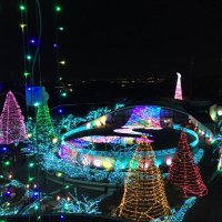 わたるむらさき (@dd8avi) 's Twitter Profile