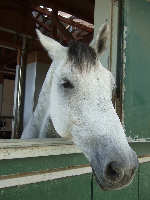 korinchan5's profile picture. 