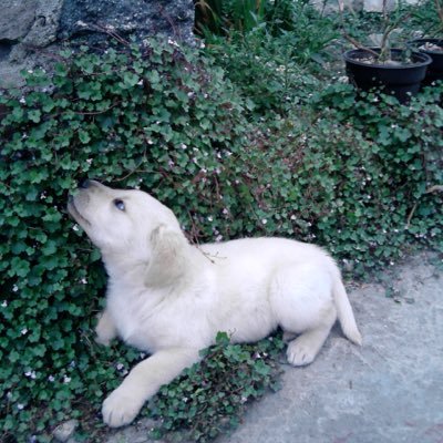 Pablita50's profile picture. 