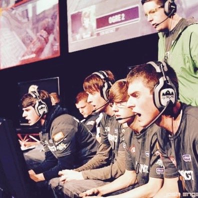 Rare_Joey's profile picture. PROFESSIONAL retweeter