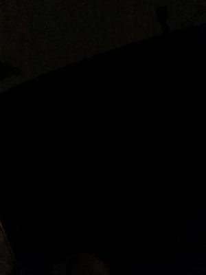 trutherbotremix's profile picture. 