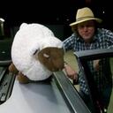 Nico Paul Bianco - @mrnicobianco - Twitter