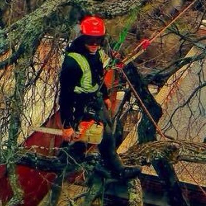 Arborist-Climber Tree expert