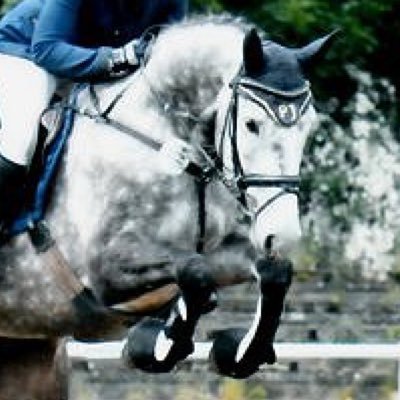 _eqboy's profile picture. Horse bro.