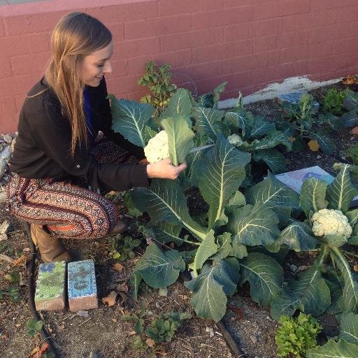 WhitSpalding's profile picture. Fifth grade teacher educating young minds daily! #missspaldingsclass #mrscicognascolorfulclassroom