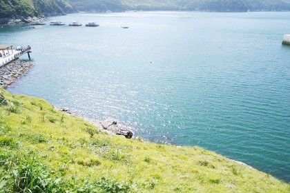 alscks2971's profile picture. 