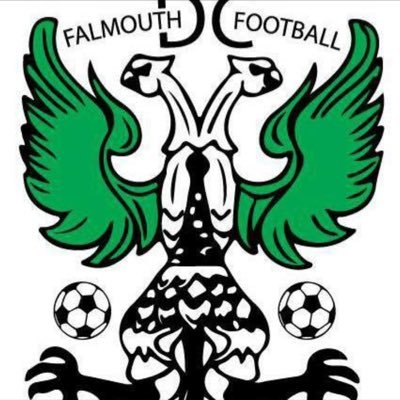 Falmouth DC FC