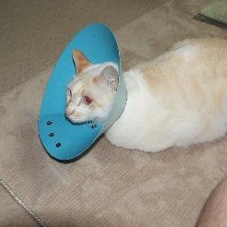 patiht82's profile picture. 