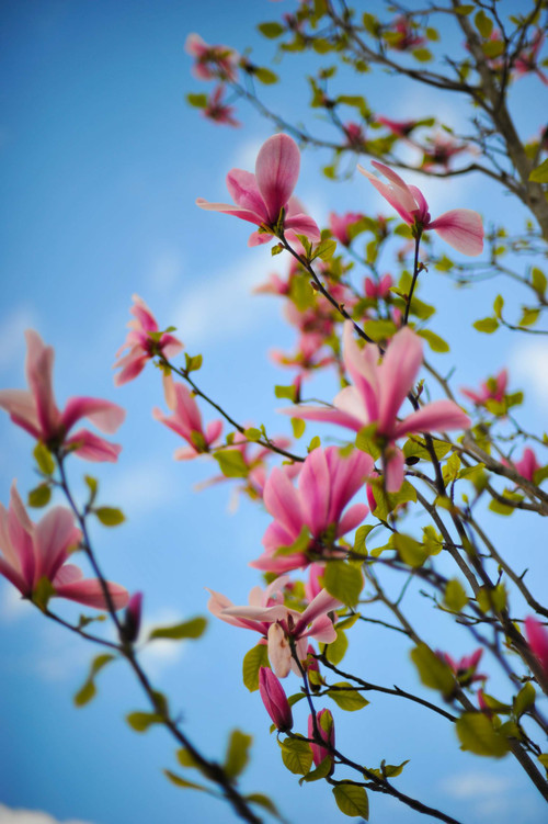 KewpieLovesYou's profile picture. 