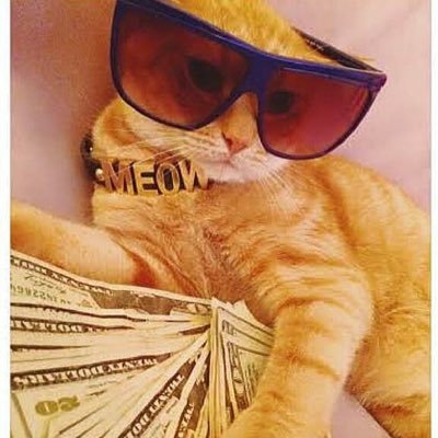 jackcleeves's profile picture. This is my Twitter account obvs.