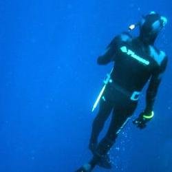 Freedving in Asia. Places to Visit. Things to See. Things to Know. Freedivers msg us to share your own info & experiences and we'll happily RT. Also @DiveAsia