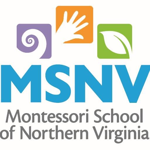 MsnvInfo's profile picture. 