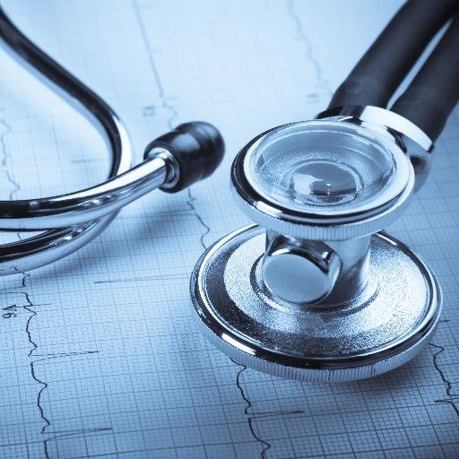 hattie_warr's profile picture. Studying medical sciences