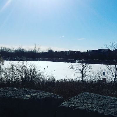 VanessaFResende's profile picture. 