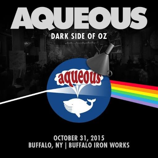 @aqueousband news. @nystatemusic social media manager. Live music lover.