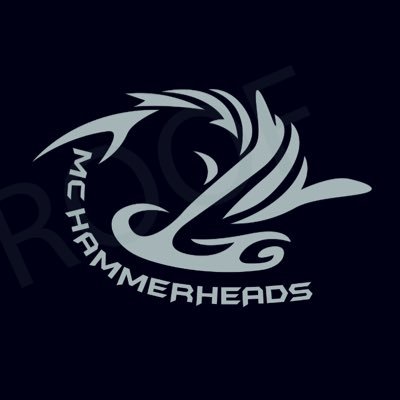MCHammerheads's profile picture. Molloy College Hammerheads. We play ultimate. EST. 2015