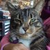 Urban Tails (@urbantailspet) Twitter profile photo Urban Tails (@urbantailspet) Twitter profile photo