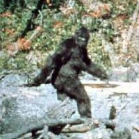 ProgressiveCitizenX (@progcitizenx) 's Twitter Profile