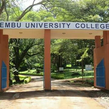 embu_of's profile picture. Knowledge Transforms