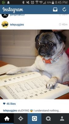 JustinP1996's profile picture. 