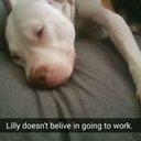 Dan Cass - @DanCassXbox - Twitter