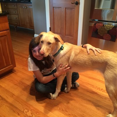 cissambarbosa's profile picture. Stories wash from the soul the dust of everyday life.