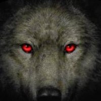 netwolf (@flowteneht) 's Twitter Profile