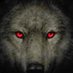 netwolf (@flowteneht) Twitter profile photo netwolf (@flowteneht) Twitter profile photo