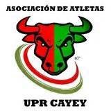 Esta página se especializa en llevarte la última información sobre el equipo de los Toritos de la UPR de Cayey (Softball/ Beisbol)