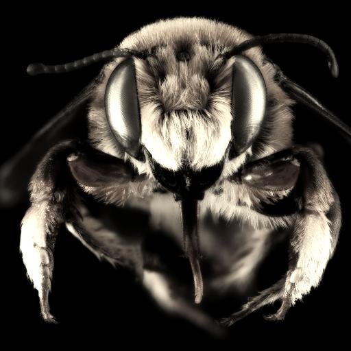 Writer @BraveNewCoin, Author of The Range of Illusion, Crypto Currency Supporter, Bee fanatic.