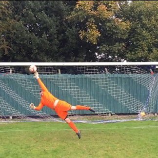 Shabbynewts's profile picture. 