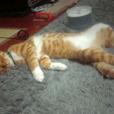 なかむらゆうこ 2日間で基本のかぎ針編みを思い出したら いままで暗号にしか見えなかった編み図が読めるように 小学校の手芸クラブで習ったスクエアモチーフしか知らなかったけど 昨日はどうにかこうにか編み図だけでコースターか完成 今日は何に