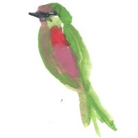 Emily Forland (@emilyforland) 's Twitter Profile Photo