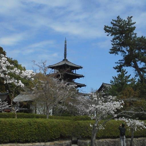 伊勢神宮は令和初の両陛下ご親謁(参拝)か近づいて、大いに盛り上がってきました。私たち伊勢市観光協会のボランティアガイドは伊勢神宮の外宮から内宮へ無料奉仕観光ガイドさせていただきます。0596636262(観光協会窓口)またはインターネットでへ参拝の7日以上前までご予約して下さいね。